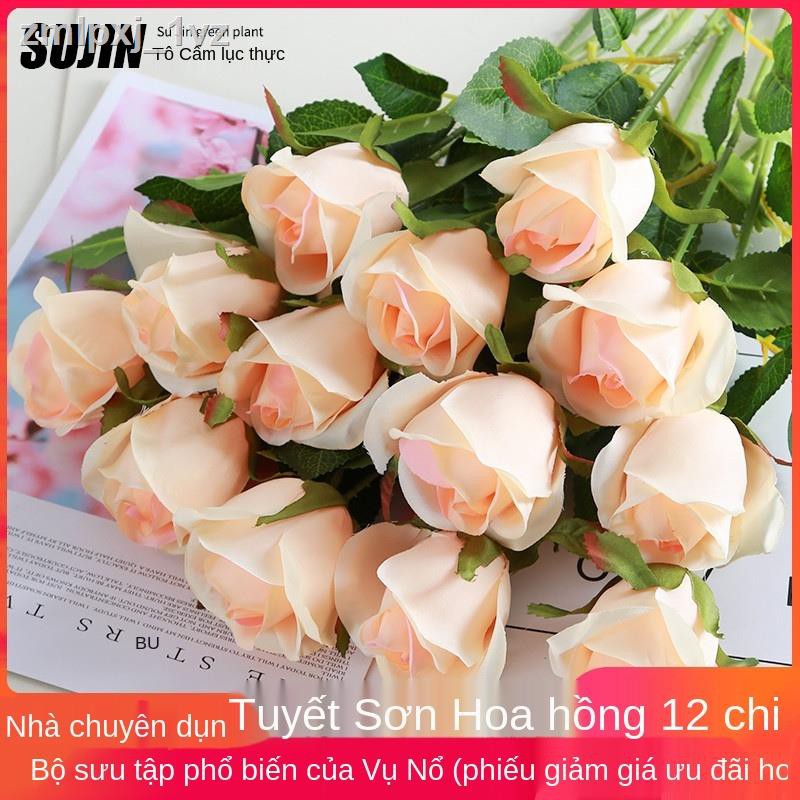 ✷chống thật hoa hồng trang trí phòng khách mô phỏng hoa bàn ăn bó đơn hoa giả hoa khô trang trí hoa nhựa cắm hoa
