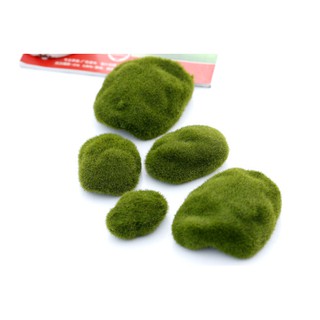 Đồi cỏ rêu trang trí tiểu cảnh hồ cá