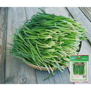 Hạt giống hẹ cao sản phú nông - klt 2g - phunongseeds - nảy mầm nhanh sinh trưởng mạnh - vtnn nông điền trang