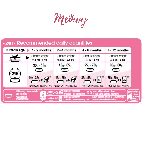 Hạt Royal Canin Kitten 1KG siêu hời cho mèo con từ 2 - 12 tháng tuổi