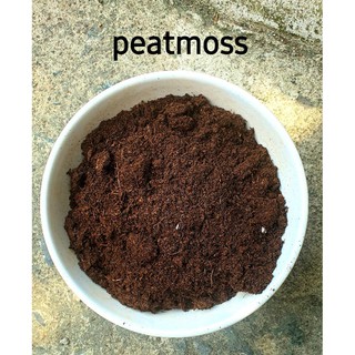 100g peatmoss than bùn rêu mục ( PEATMAN )