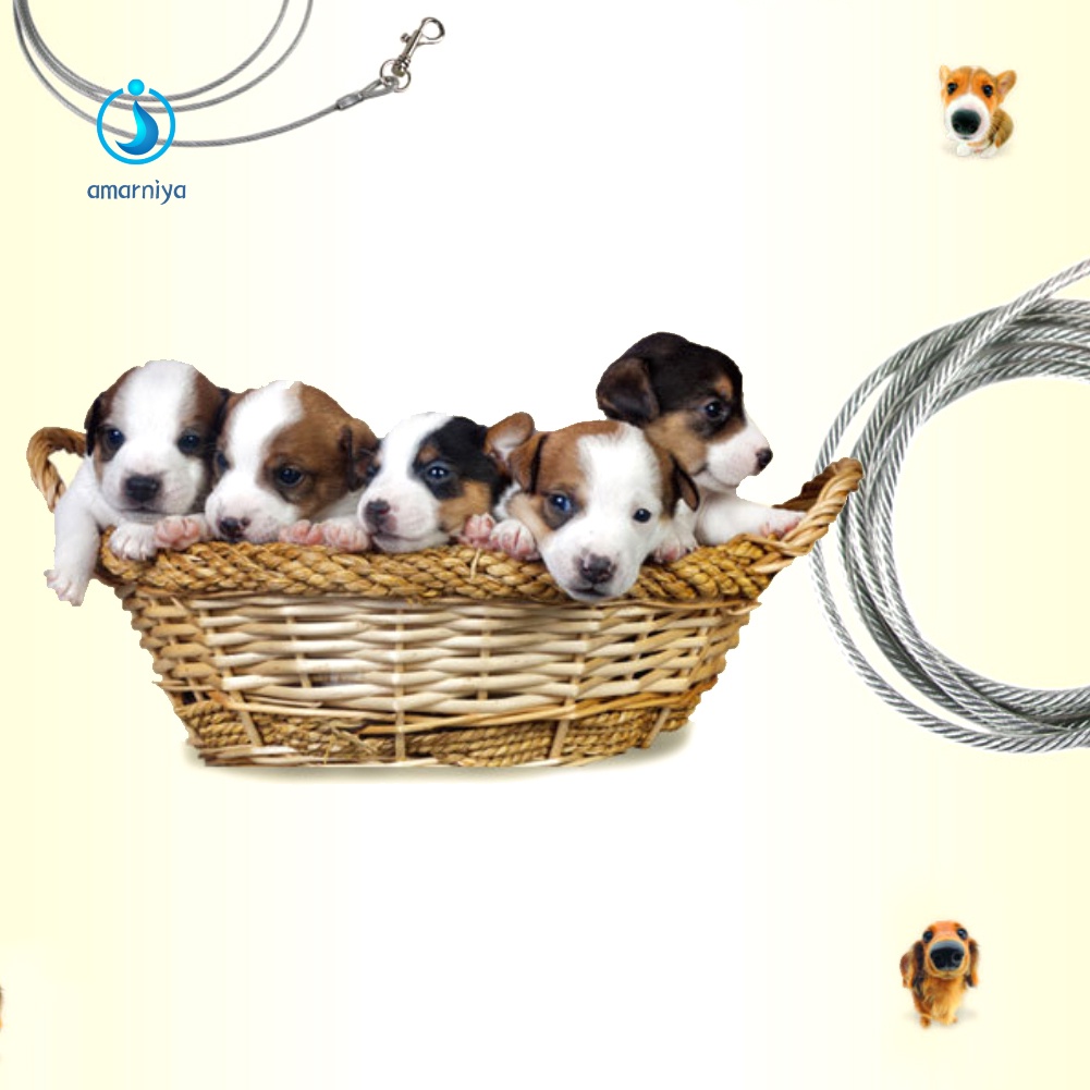 ♥Máy AMAR♥ Dây Dẫn Chó Cưng Đi Dạo Chống Cắn Tiện Lợi