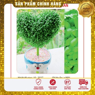 Hạt giống Cỏ May Mắn - 1gr