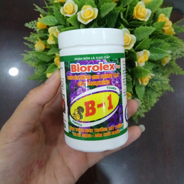 Vitamin B1 loại đặc biệt ( combo 10 chai )