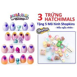 ✅ COMBO 3 trứng Hatchimals & QUÀ TẶNG - MÀU NGẪU NHIÊN - Hatchimals VNXK