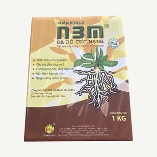 N3m (1kg) SIÊU RA RỄ