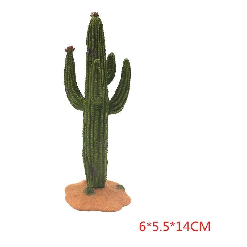 Mô Hình Cây Xương Rồng Trang Trí Nhà Cửa/Vườn Giáo Dục Cho Trẻ Diy