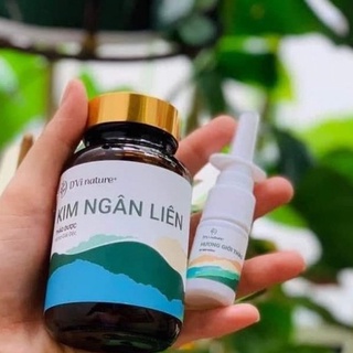 Kim Ngân Liên DVi Nature