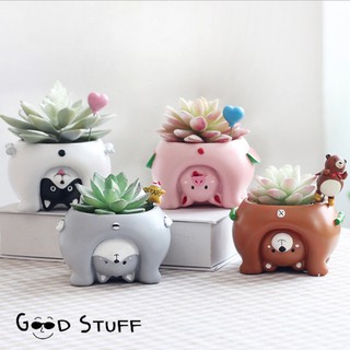 🌈Bảo tàng G & S Micro Life🌈Chậu Hoa Hình Mèo Hoạt Hình Dễ Thương Dùng Trang Trí Bàn Làm Việc