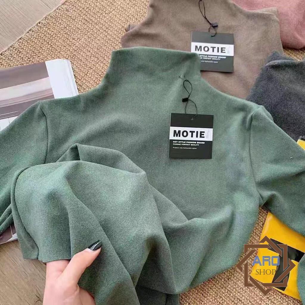 Áo Thun Giữ Nhiệt Cổ Lọ Thu Đông ( Kèm Túi Zip )-THESHE