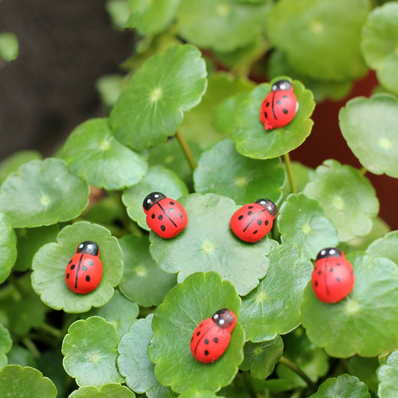 Bộ 10 Bọ Cánh Cứng Mini Bằng Nhựa Dùng Trang Trí Tiểu Cảnh Diy