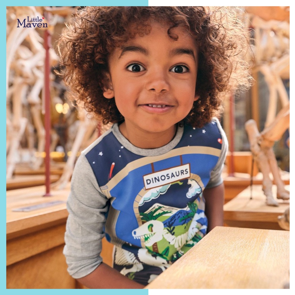 Áo cotton Little Maven xám khủng long LM52156 cho bé trai 2-8 - Little Maven Official Store