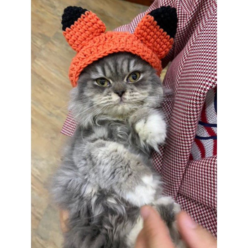 Mũ Len cho chó mèo