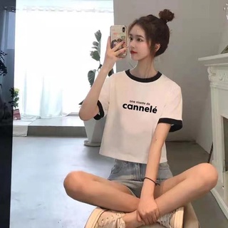 Áo thun nữ croptop phối viền