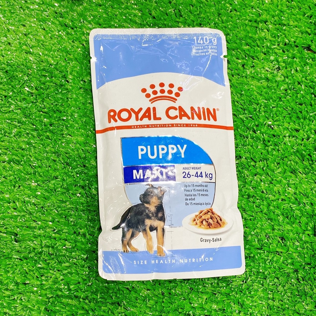 Pate cho chó con Royal Canin Puppy