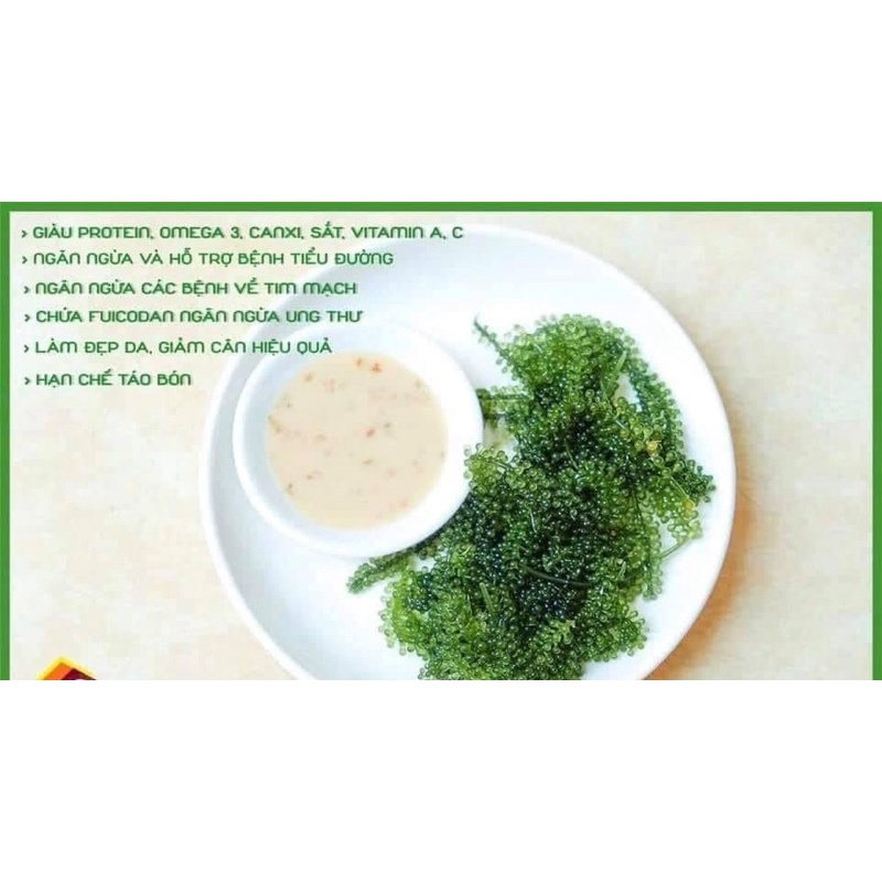 Rong nho tách nước Green Food gói 100gr - Giòn ngon - tươi xanh không tanh - check mã vạch cty