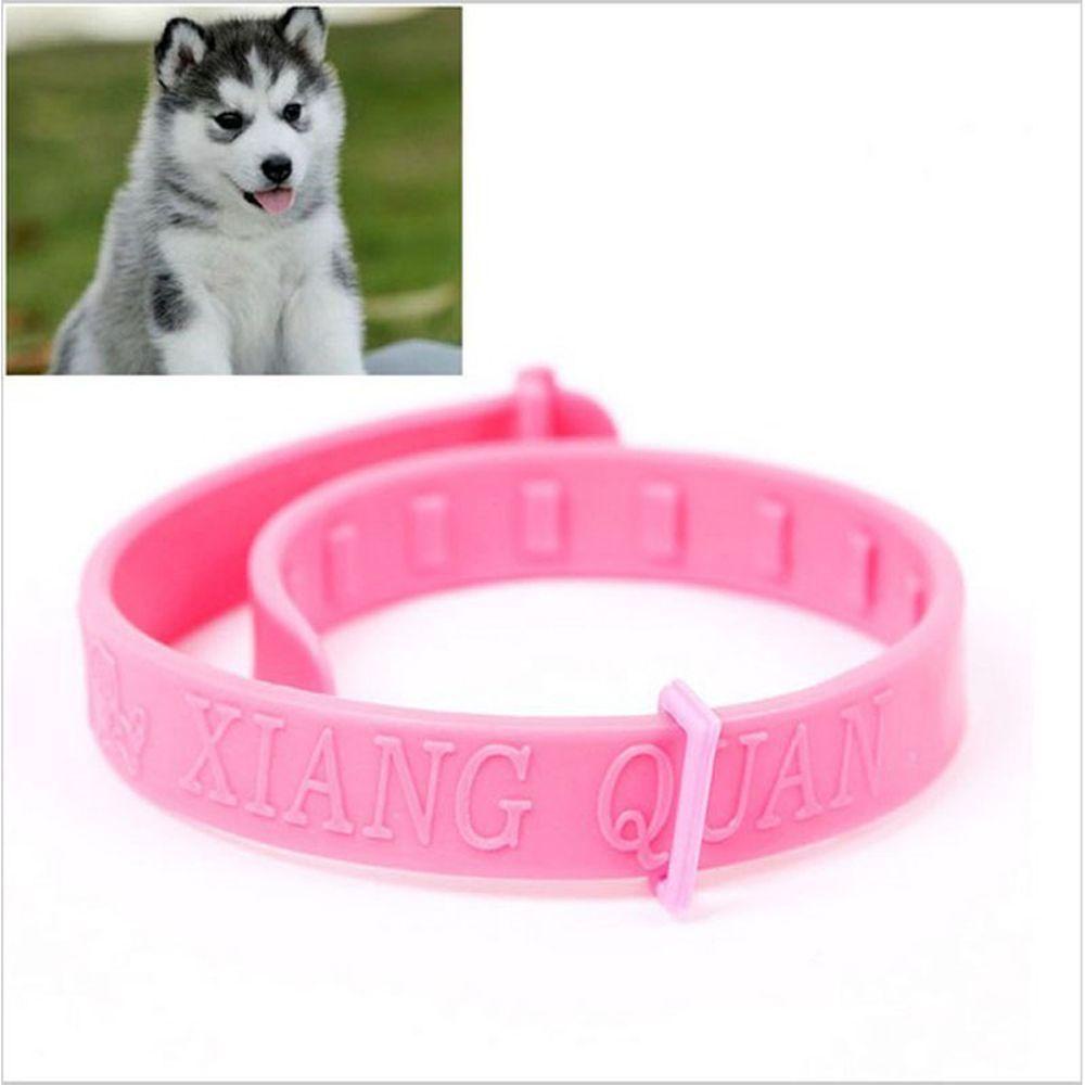 Nickolas Vòng Đeo Cổ Bảo Vệ Thú Cưng Chất Lượng Cao Màu Sắc Đẹp Chất Lượng Cao