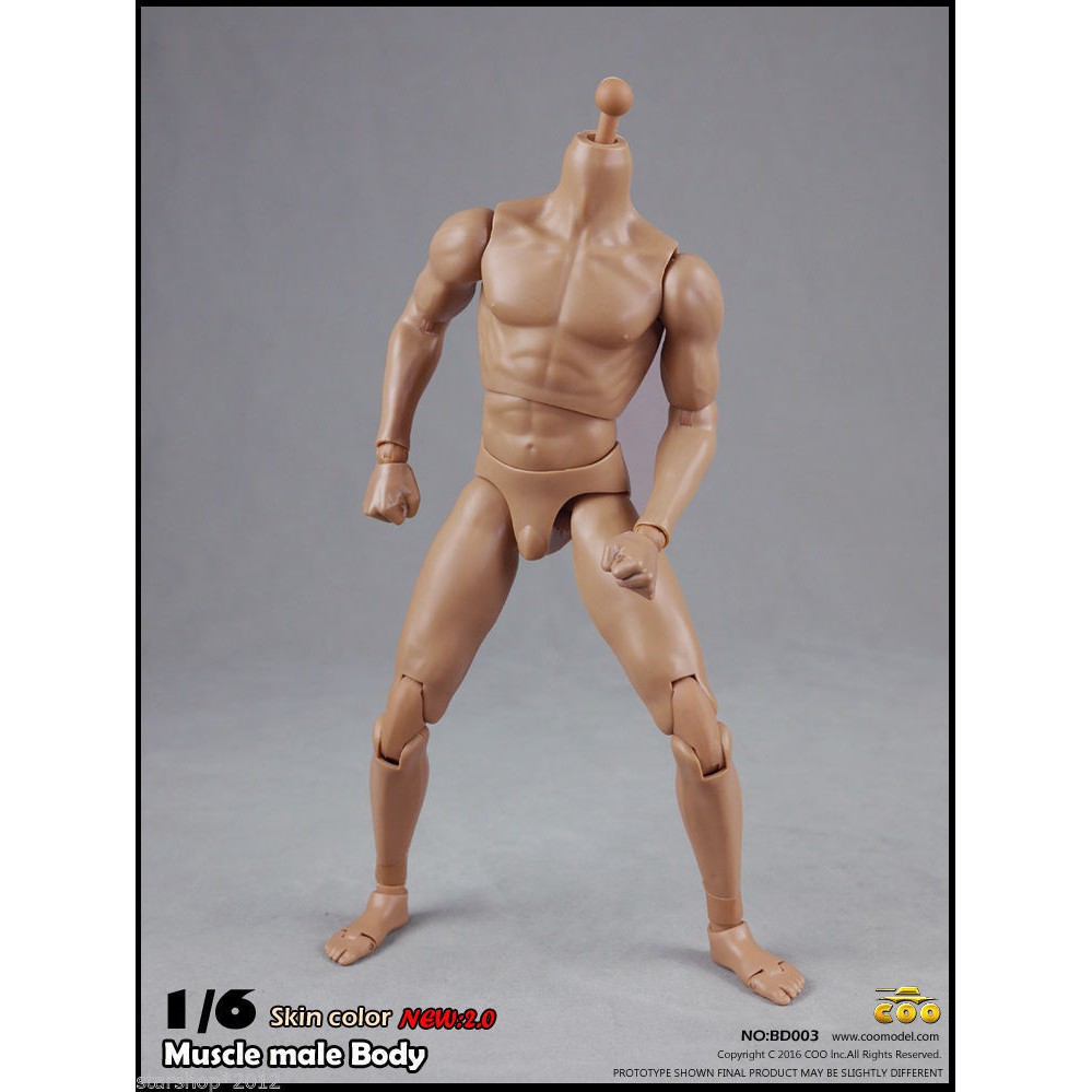 Mô hình cơ thể người nam 25cm Bd003 tỉ lệ 1/6 chất lượng