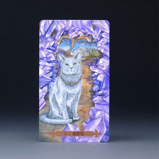 Bộ bài mystical cat tarot