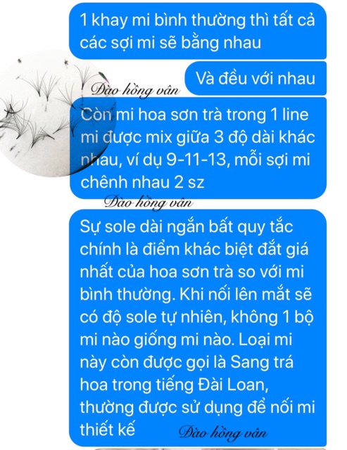 Mi hoa sơn trà