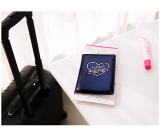Bao passport Heart Breaker