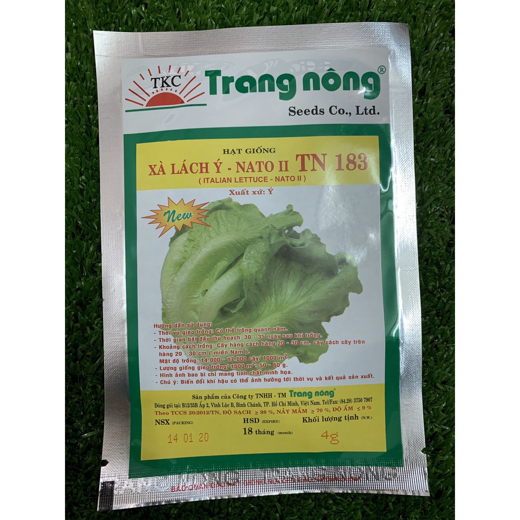 HẠT GIỐNG XÀ LÁCH Ý-NATO