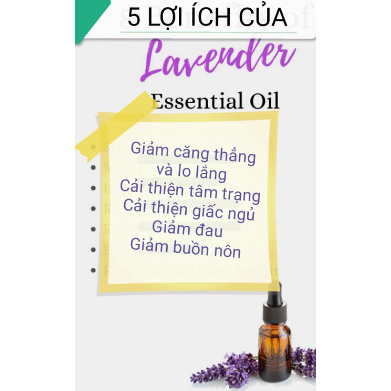 TINH DẦU THIÊN NHIÊN LAVENDER - TRÀ TRẮNG LÀM NẾN THƠM, XÔNG HƯƠNG - 9293store - 9293nguyenlieu