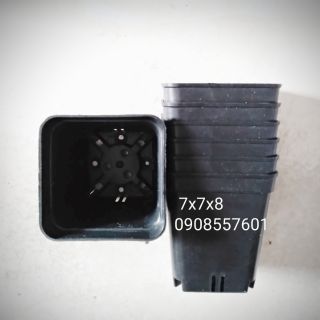 [50 CÁI] Chậu nhựa vuông 7x7cm - cao 8cm