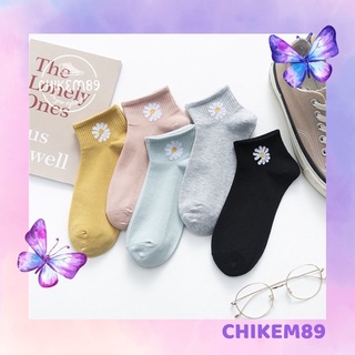 Tất nữ cổ ngắn ⭐️freeship⭐️tất hoa cúc, tất gấu siêu xinh
