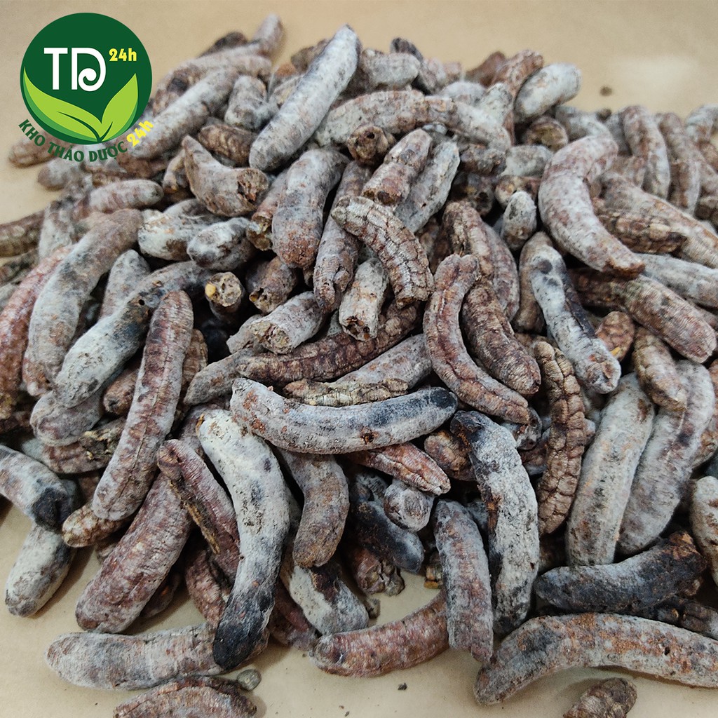 [1kg] Chuối hột rừng Tây Nguyên, hết đau lưng, nhức mỏi cơ thể, xương khớp | Kho thảo dược 24h