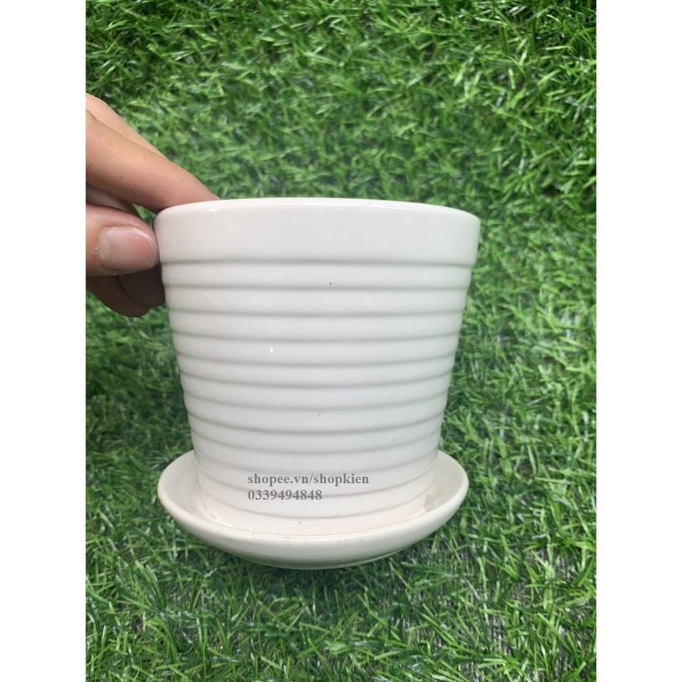 Chậu trồng cây mini  để bàn có đĩa đựng nước màu và dáng đẹp