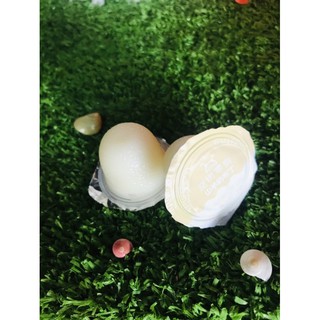 Pudding sữa dê cho hamster, sóc úc, sóc bay