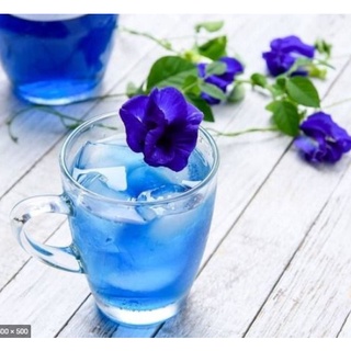 Bộ 6 tách thủy tinh ocean kenya mug p1640 - 320ml