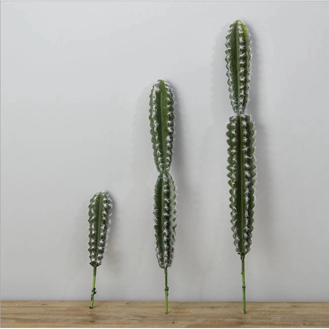CÀNH XƯƠNG RỒNG TRỤ  15CM, 40CM,55CM