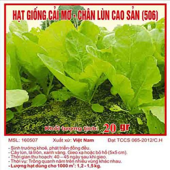 Hạt giống cải mơ