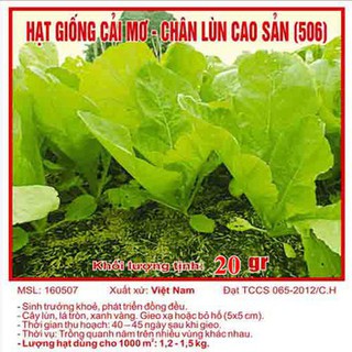 Hạt giống cải mơ