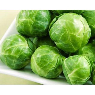 HẠT GIỐNG RAU BẮP CẢI XANH TÍ HON