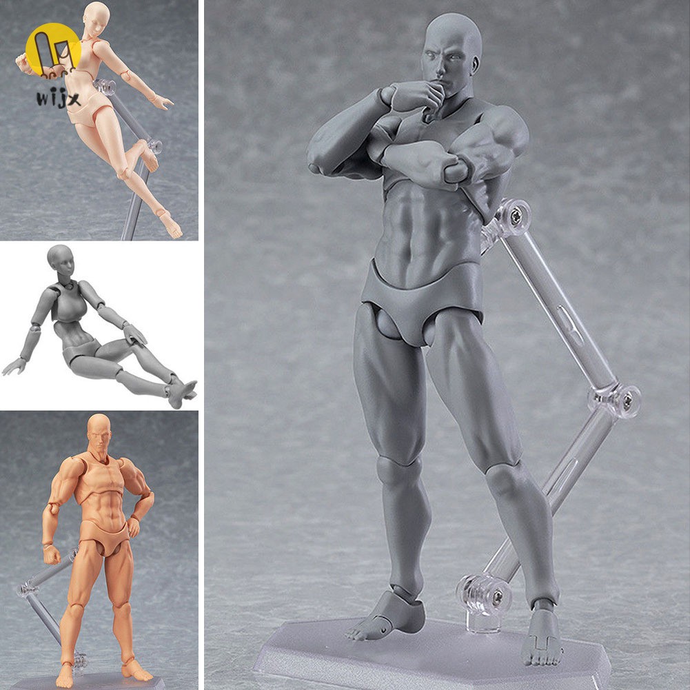 Bộ mô hình cơ thể người bằng PVC hữu ích cho vẽ phác họa