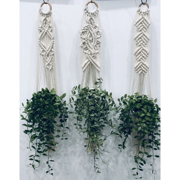 (giá sỉ) dây macrame trang trí phòng siêu xinh