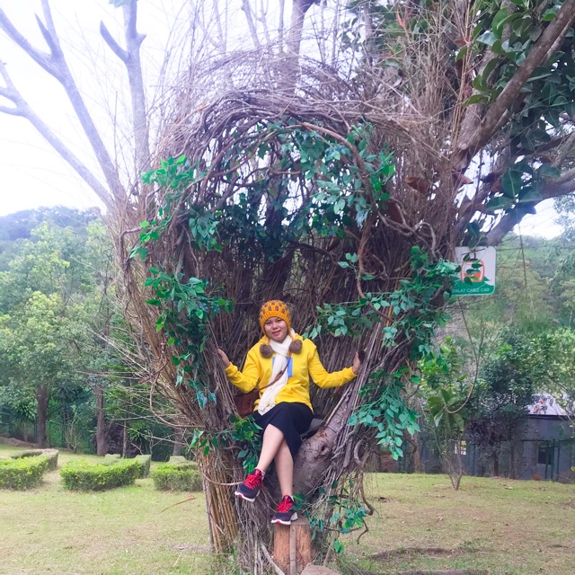 Bách hoá  Thành Đạt