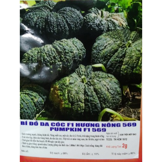 HẠT BÍ ĐỎ DA CÓC F1 - GÓI 2 GRAM