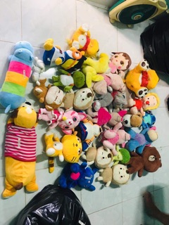 Gau bong hang si
