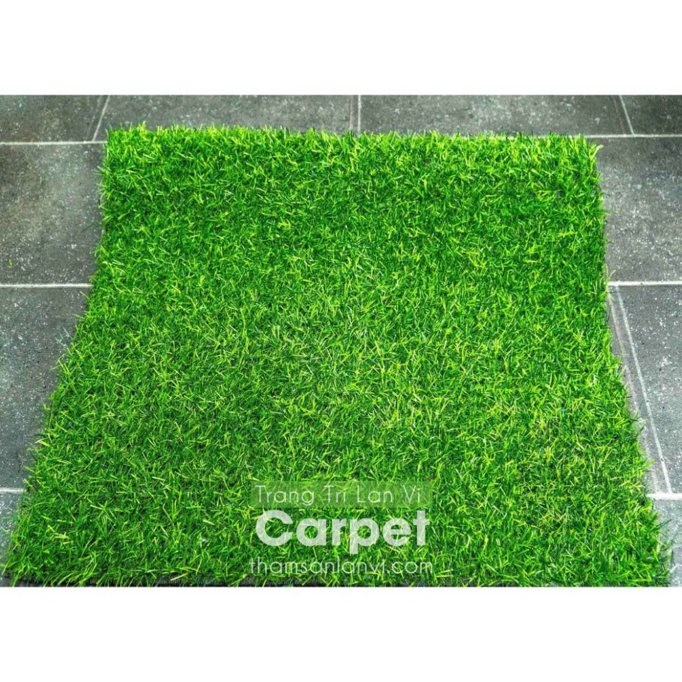 Tấm cỏ nhân tạo cao 2cm trang trí nhà cửa kích thước 50cm x 50cm