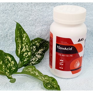 Phân bón icl novacid npk 13-40-13+te -israel