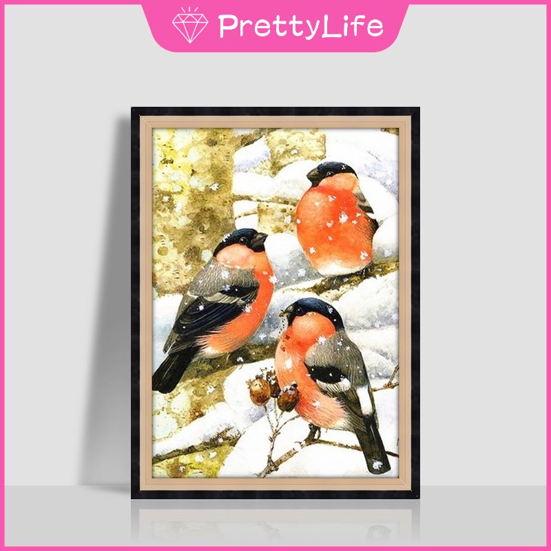 Bộ Tranh Đính Đá Tự Làm Kích Thước 30X40Cm Họa Tiết Chim Đơn Giản Hiện Đại Trang Trí Nội Thất