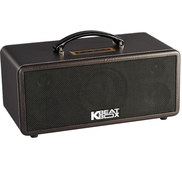 Dàn Âm Thanh Di Động ACNOS KS361MS