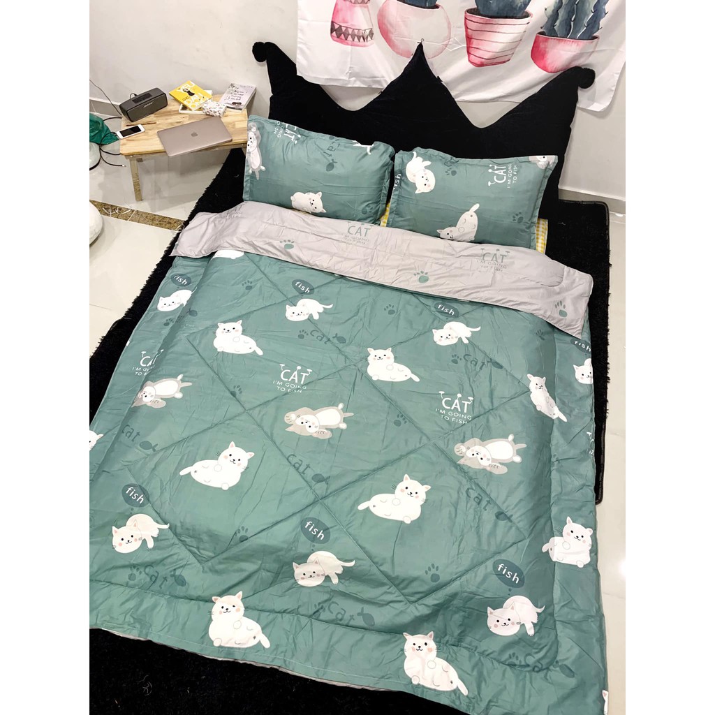 ((Hình Shop Chụp)) Trọn Bộ Drap giường Cotton CAT Trắng Phối Xám Nhạt ((m2x2m - m8x2m))