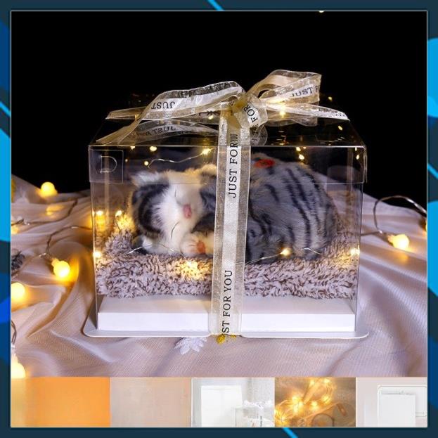 Hộp Quà Sinh Nhật Mèo Xám Dễ Thương, Thích Hợp Làm Decor Trang Trí, Quà Lưu Niệm