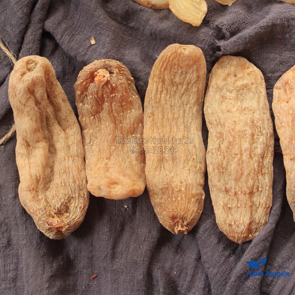 Củ thiên ma khô 500g (Hàng loại 1, củ to, giảm tê bì chan tay) - Thảo Dược Hạnh Nguyên