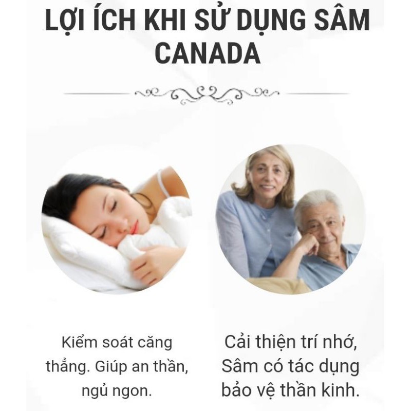 nhân sâm Canada